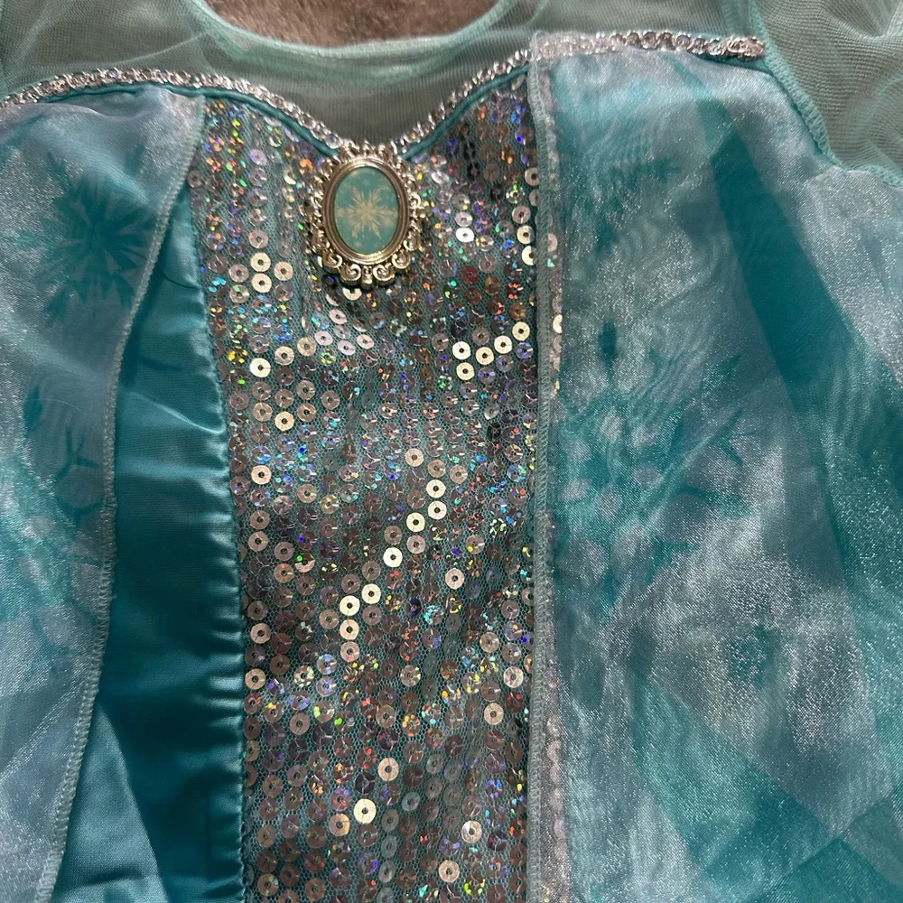 Disney Blue Elsa Halloween Costume